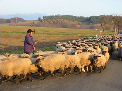 Radtour Brockenblick