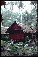 Unterkunft in der Lodge Ecoamazonia