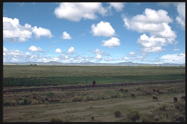 Altiplano
